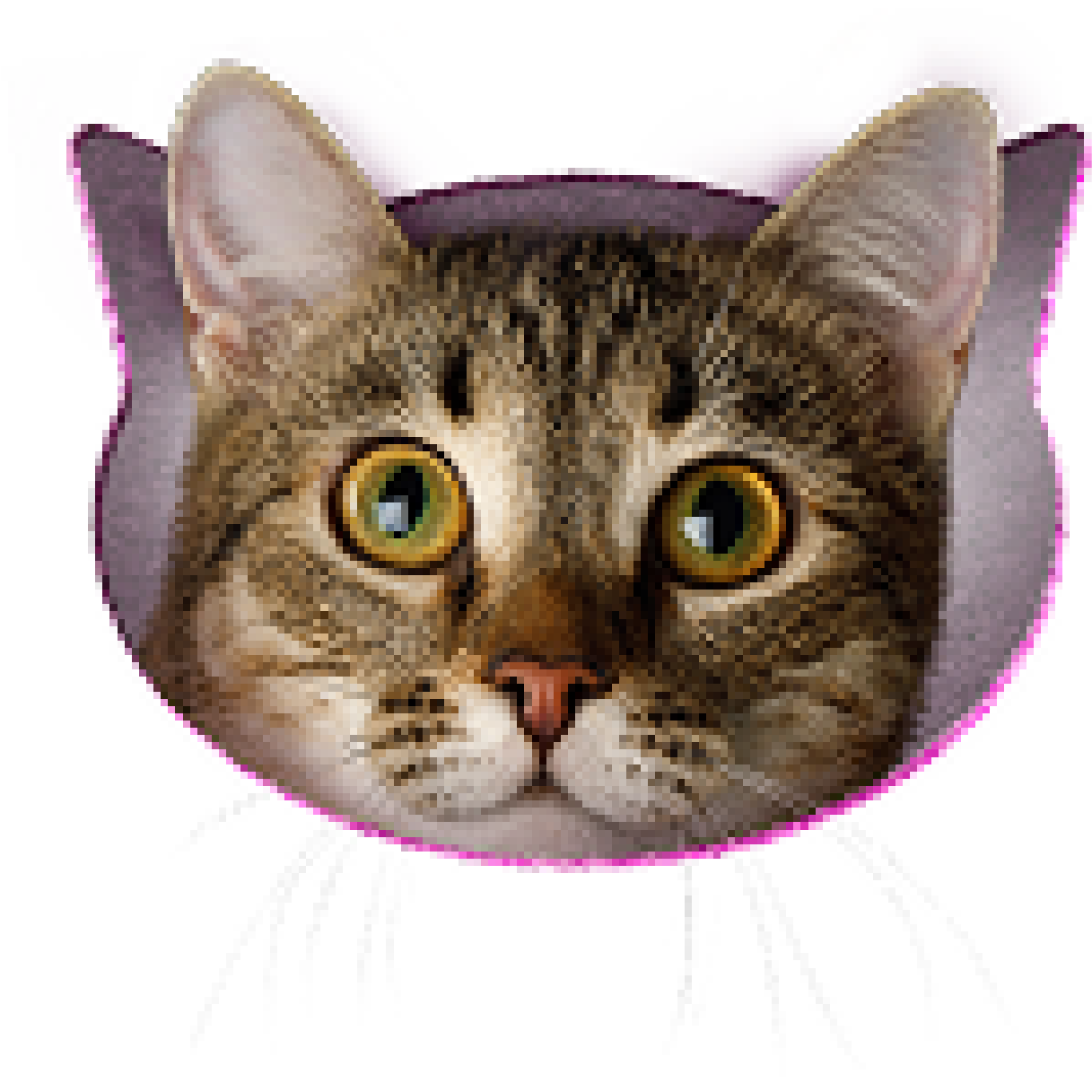 whiskas logo