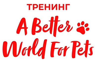 для сотрудников